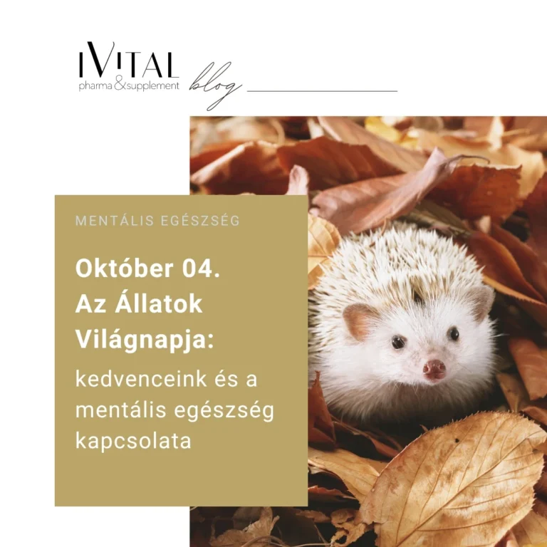 Október 04. – Az Állatok Világnapja: társaink, történetük és a mentális egészség szerepe