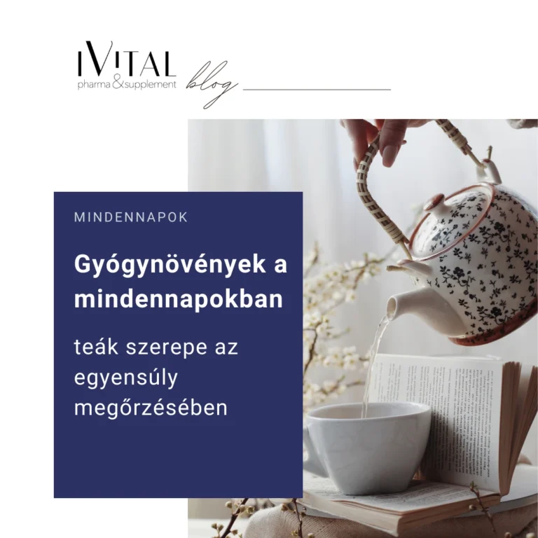 Gyógynövények a mindennapokban – a tea szerepe az egyensúly megőrzésében